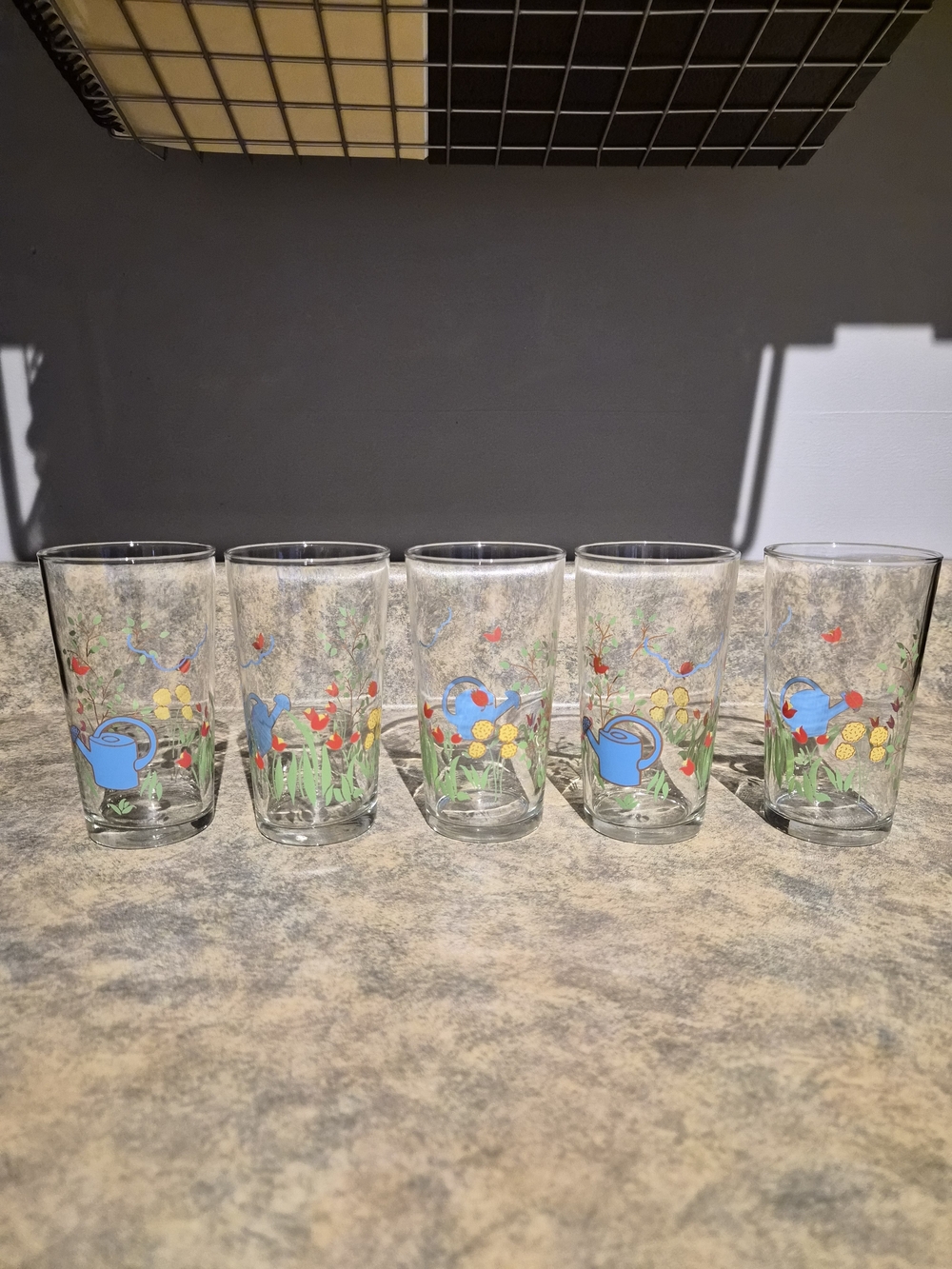 Vintage Libbey Glass Set of 5 Drinking Glasses - Garden